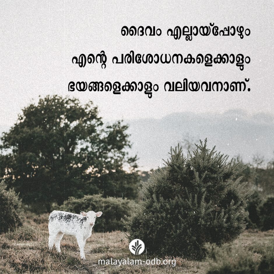 Share Malayalam ODB 2026-04-04 Share Malayalam ODB 2026-04-04