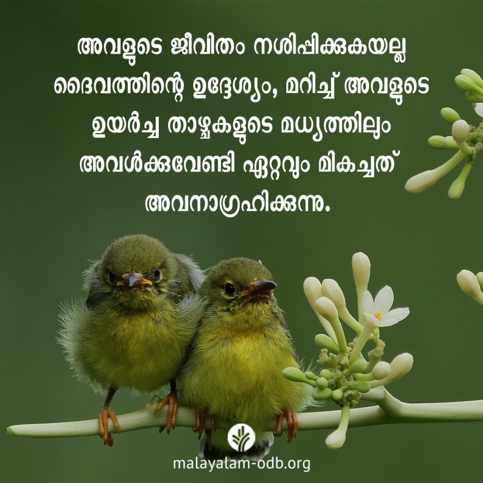 Share Malayalam ODB 2026-04-05
