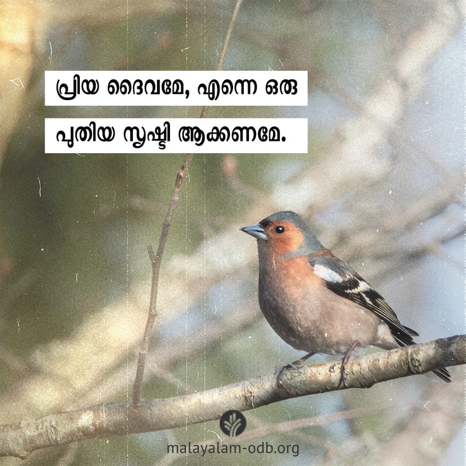 Share Malayalam ODB 2026-04-06