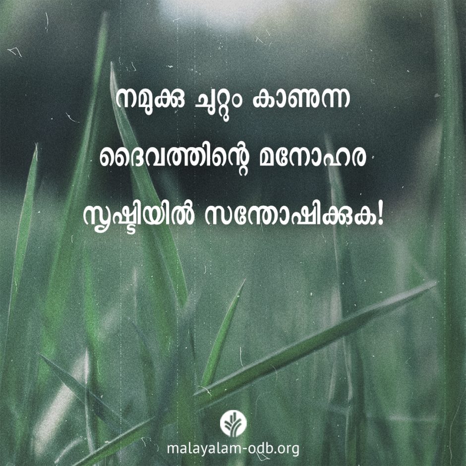 Share Malayalam ODB 2026-04-11
