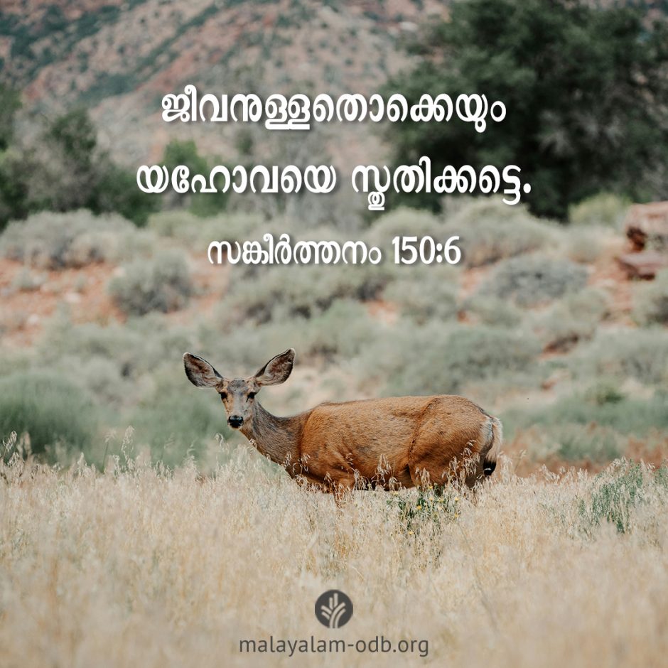 Share Malayalam ODB 2026-04-19