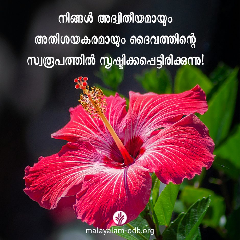 Share Malayalam ODB 2026-04-24