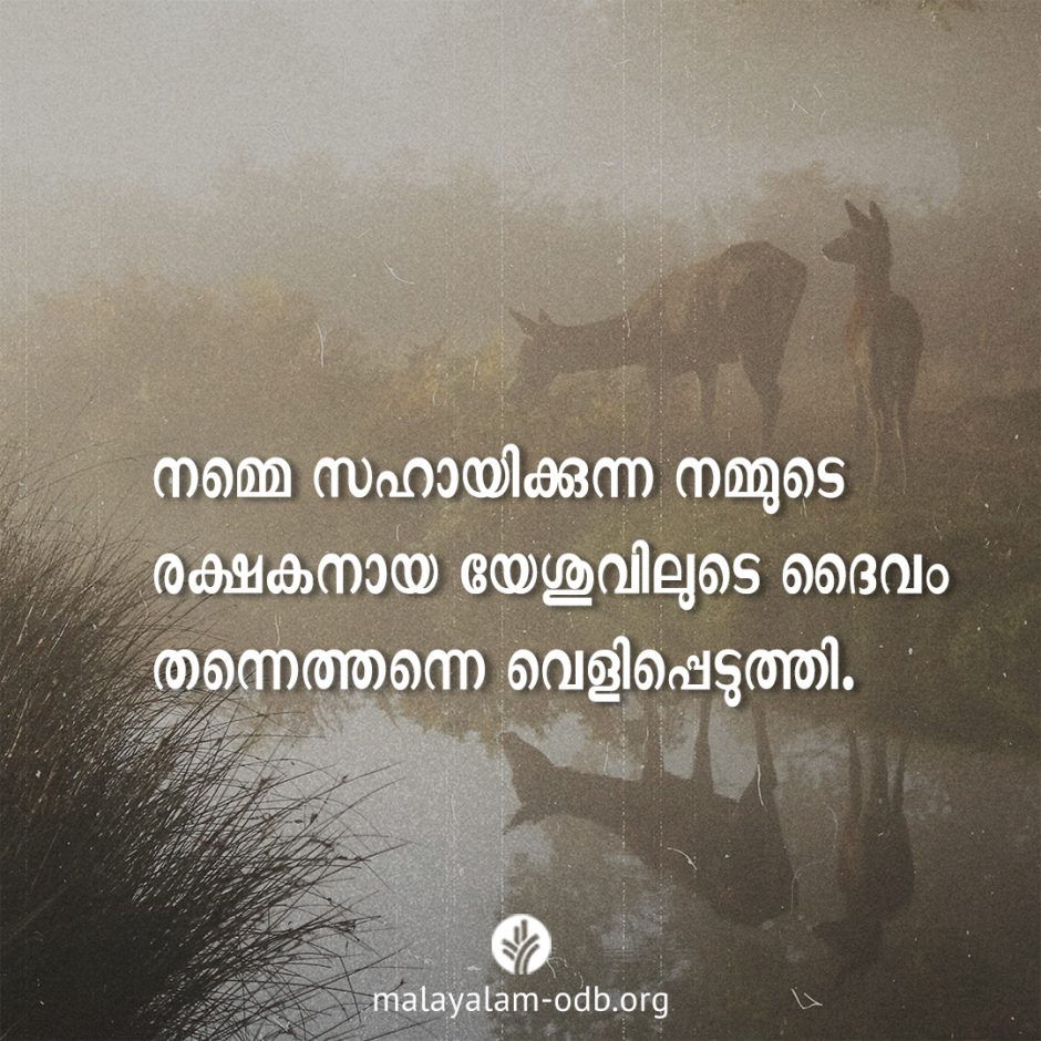 Share Malayalam ODB 2026-04-25