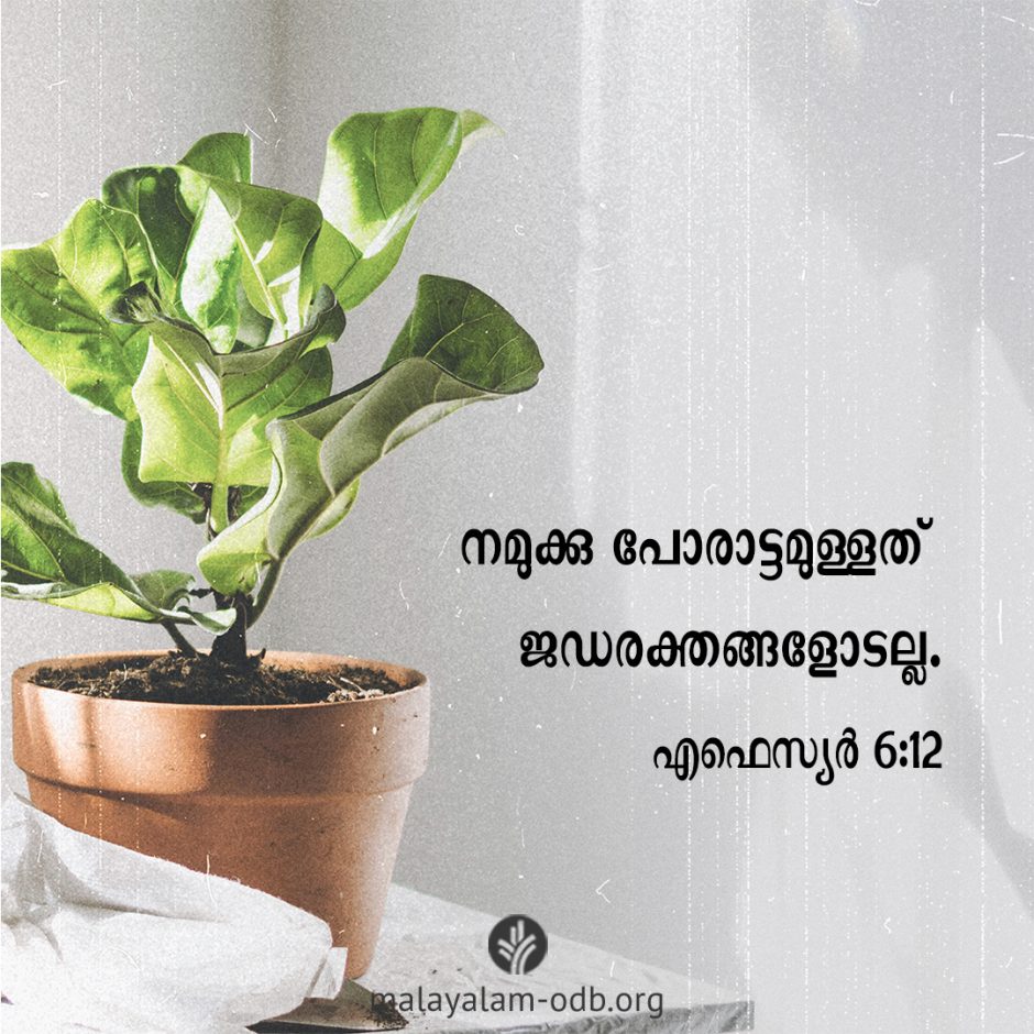 Share Malayalam ODB 2026-04-29