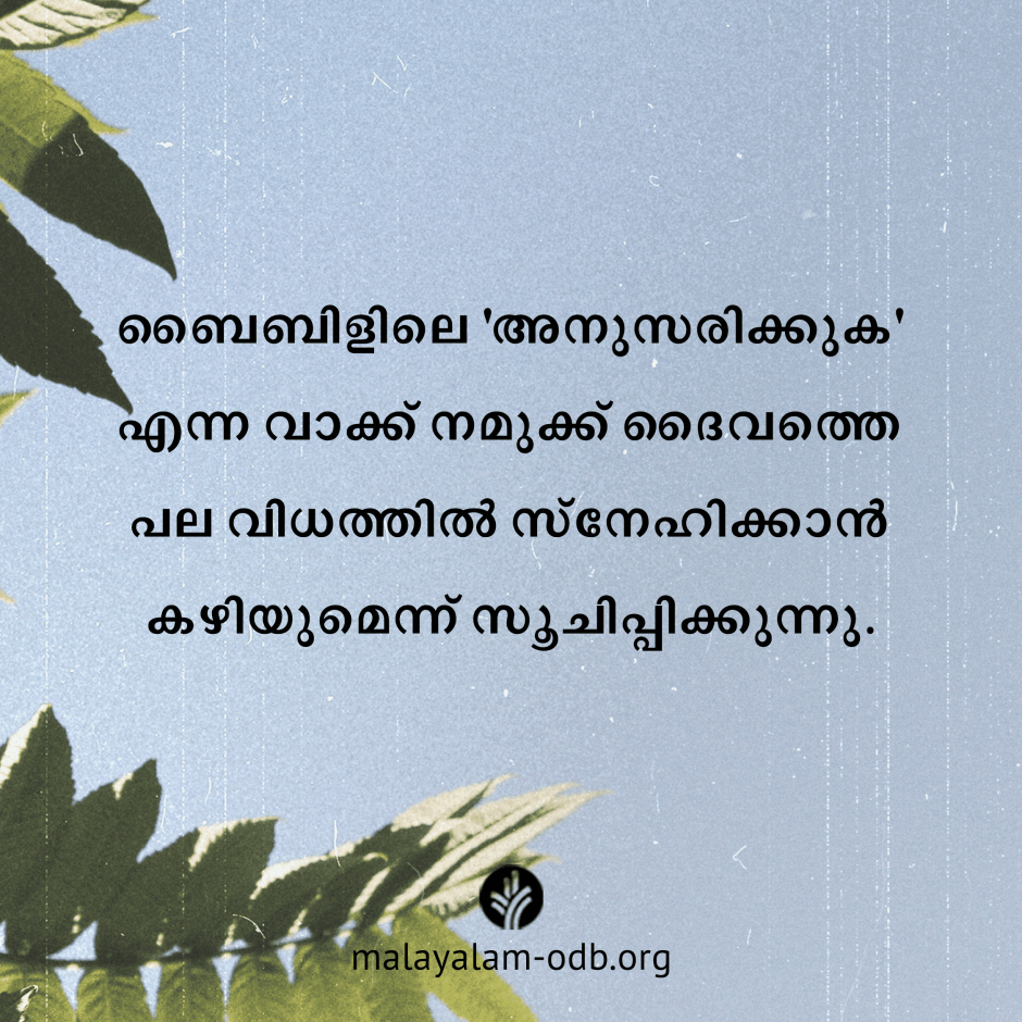 Share Malayalam ODB 2026-05-06
