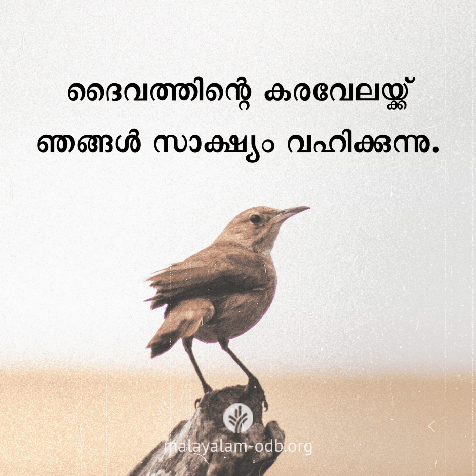 Share Malayalam ODB 2026-05-16