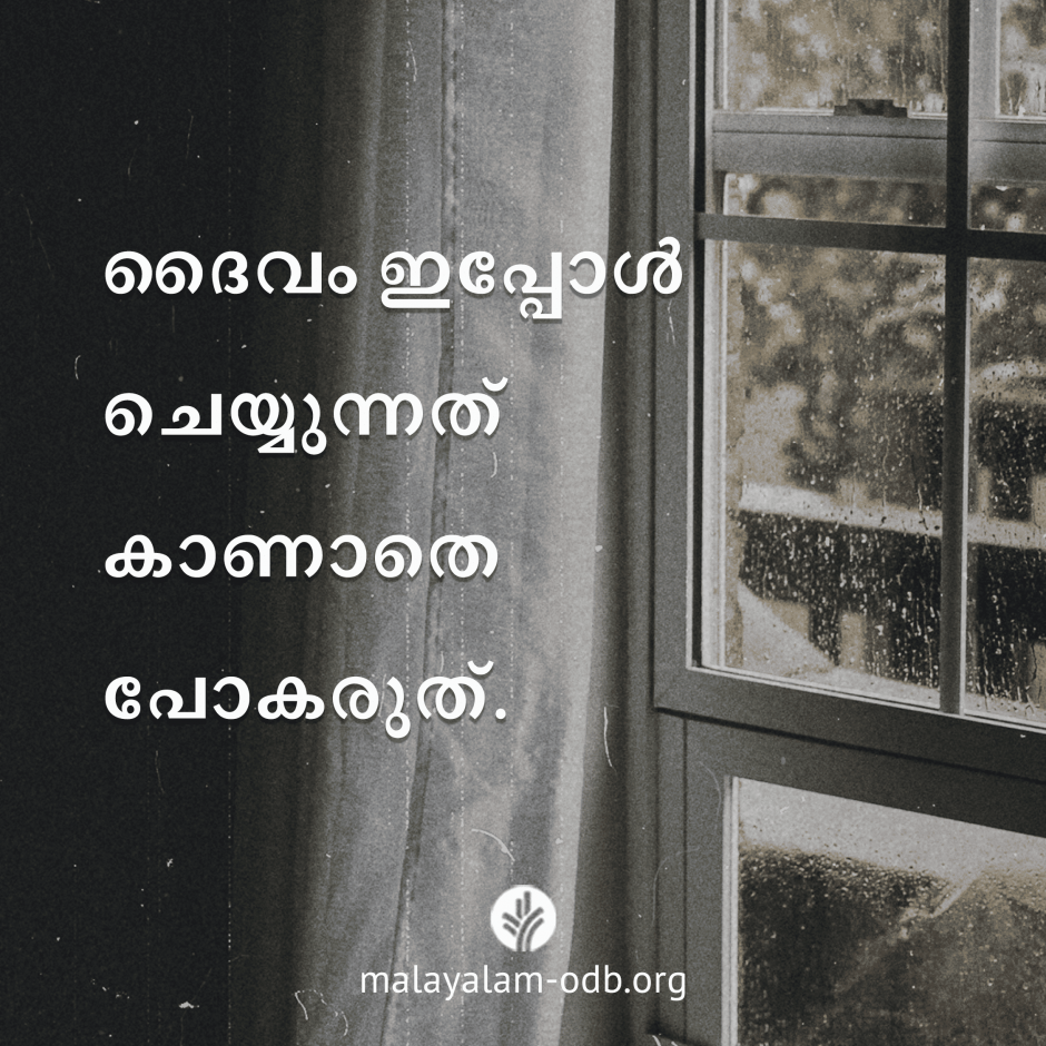 Share Malayalam ODB 2026-05-20