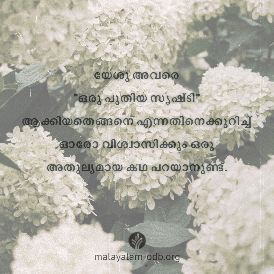 Share Malayalam ODB 2026-05-25