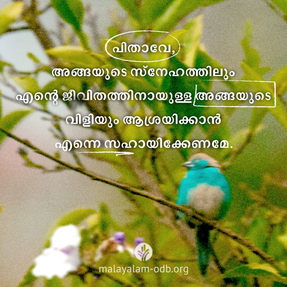 Share Malayalam ODB 2026-06-05 Share Malayalam ODB 2026-06-05