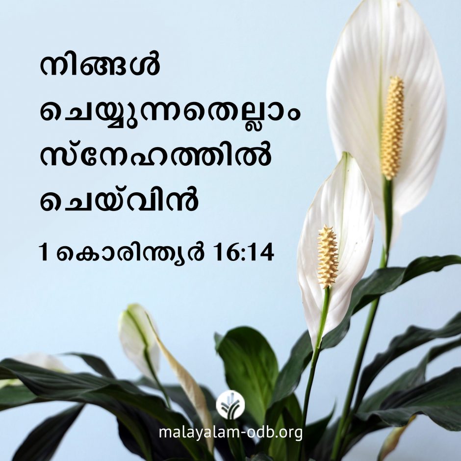 Share Malayalam ODB 2026-06-09