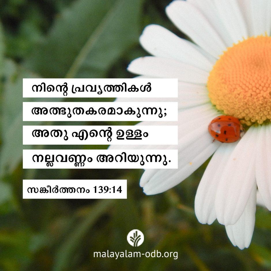 Share Malayalam ODB 2026-06-12