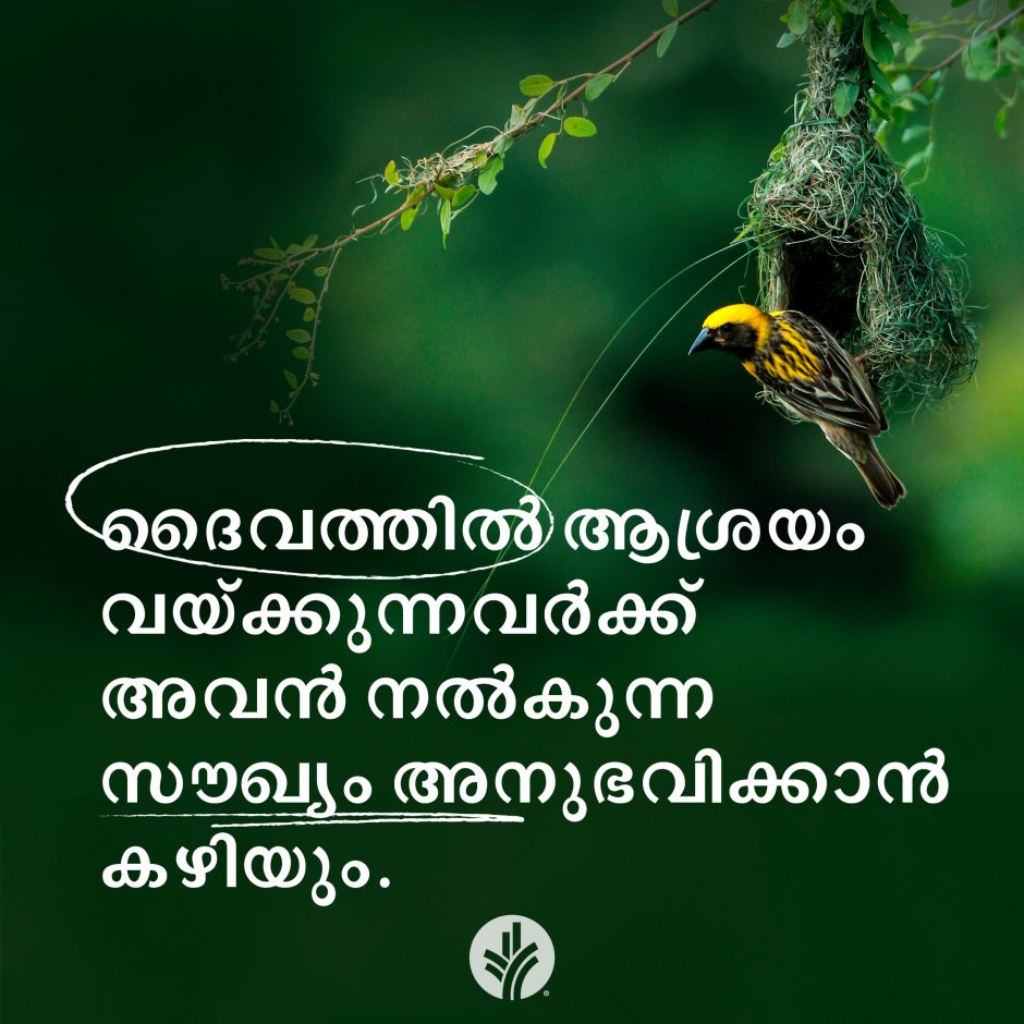 Share Malayalam ODB 2026-06-16 Share Malayalam ODB 2026-06-16