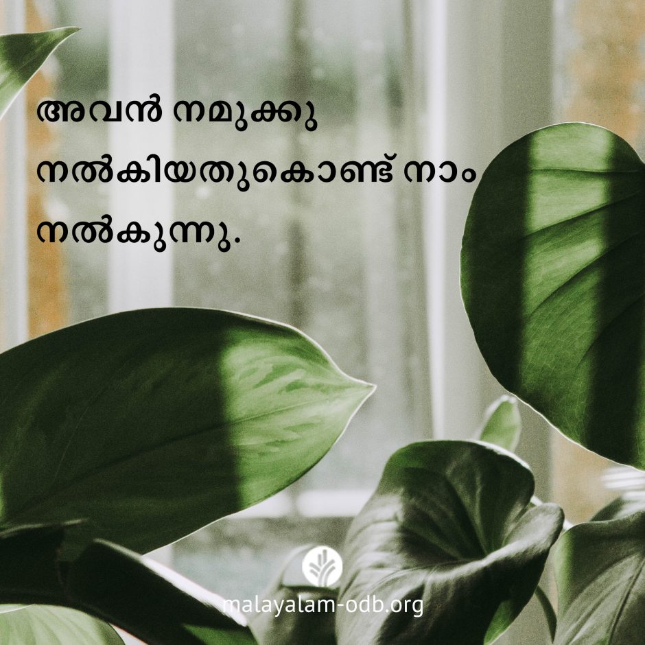 Share Malayalam ODB 2026-06-17 Share Malayalam ODB 2026-06-17