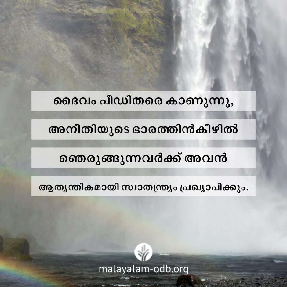 Share Malayalam ODB 2026-06-19 Share Malayalam ODB 2026-06-19