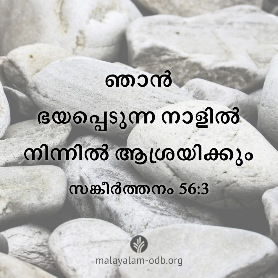 Share Malayalam ODB 2026-06-24