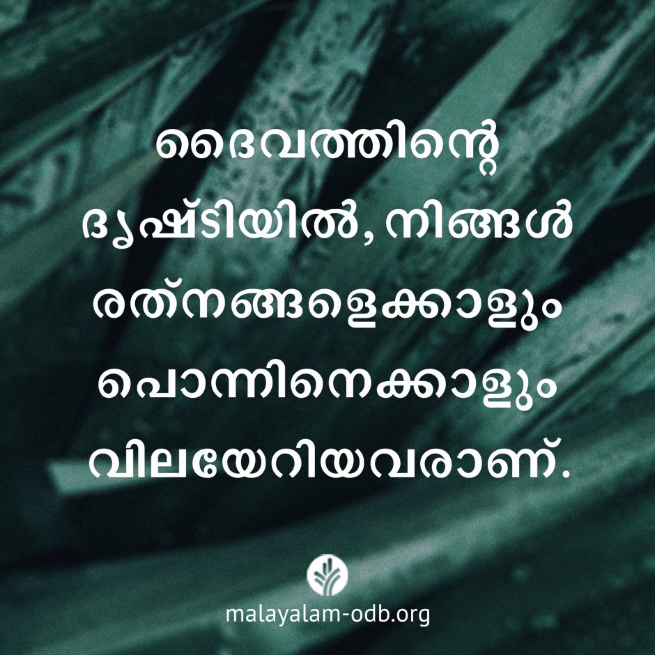 Share Malayalam ODB 2026-06-29 Share Malayalam ODB 2026-06-29