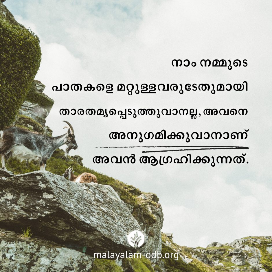Share Malayalam ODB 2026-06-30 Share Malayalam ODB 2026-06-30