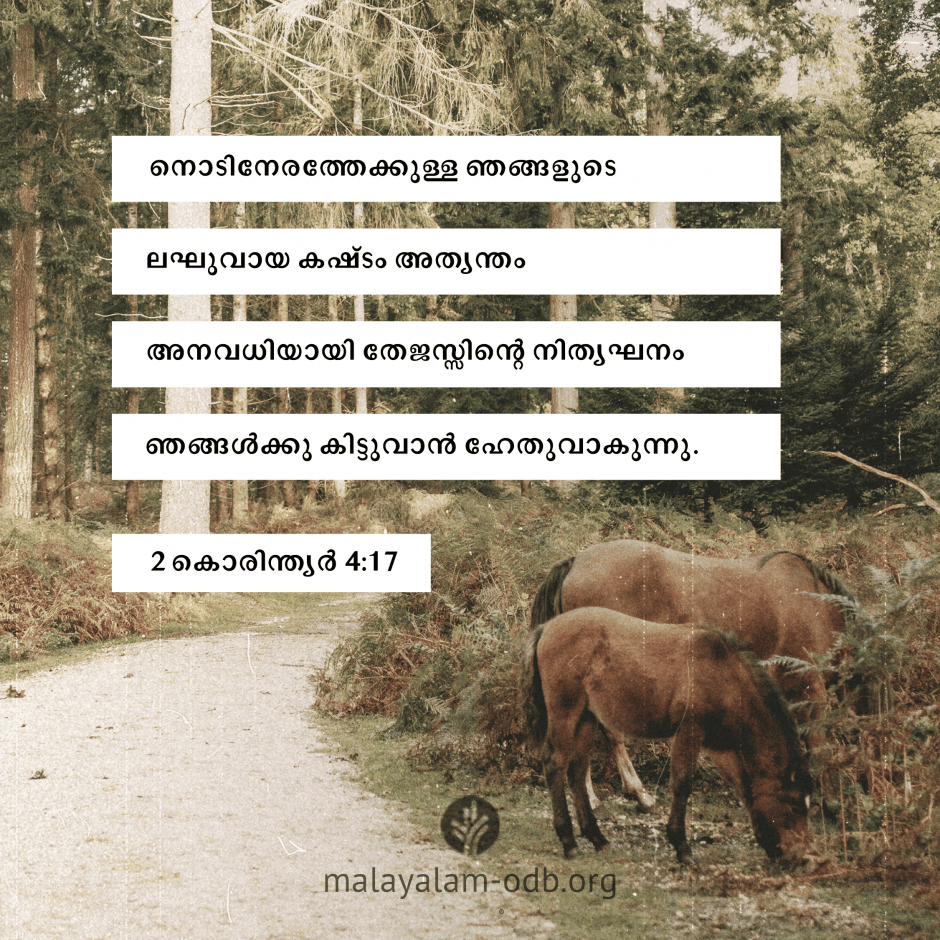 Share Malayalam ODB 2026-05-26