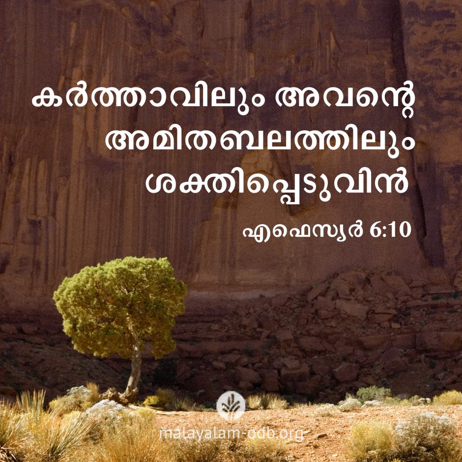 Share Malayalam ODB 2026-07-06
