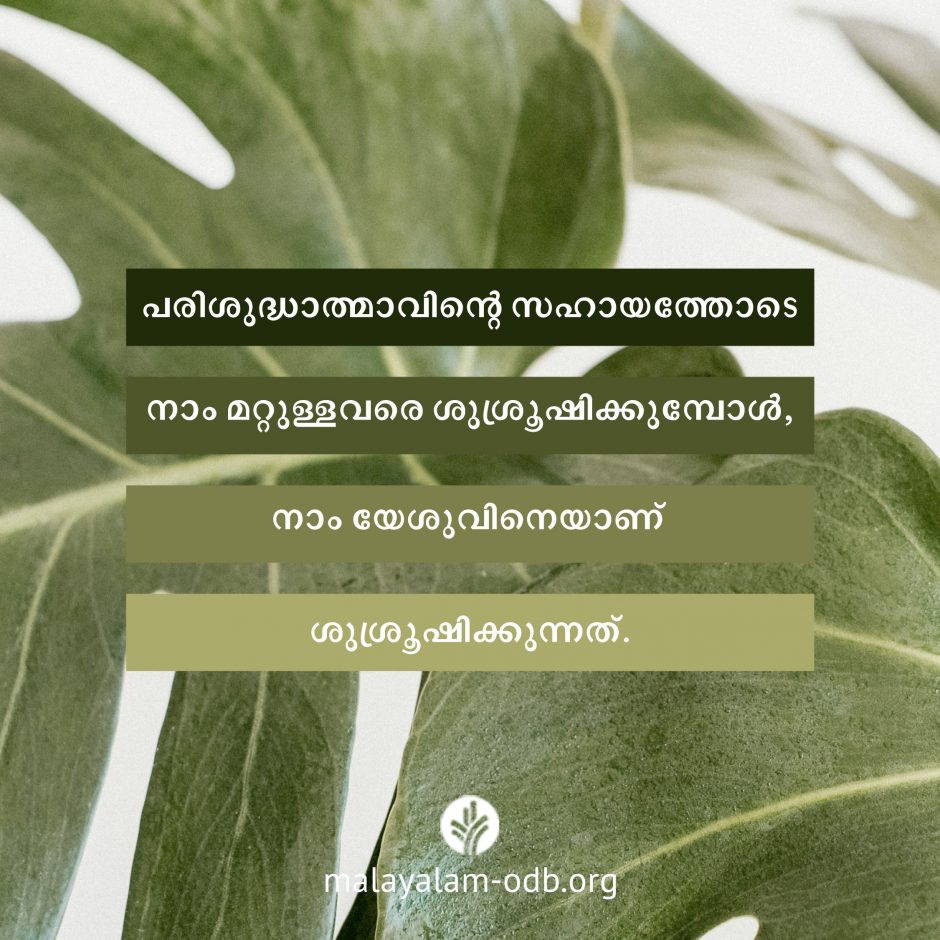 Share Malayalam ODB 2026-07-08
