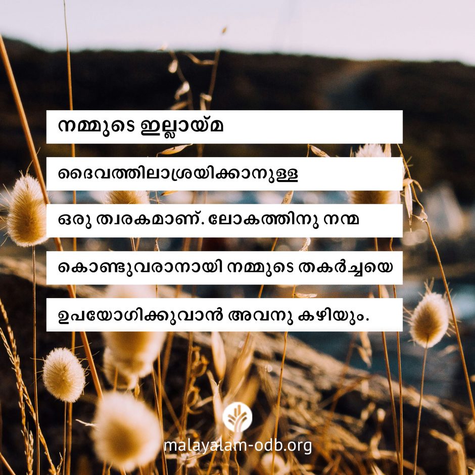 Share Malayalam ODB 2026-07-19 Share Malayalam ODB 2026-07-19