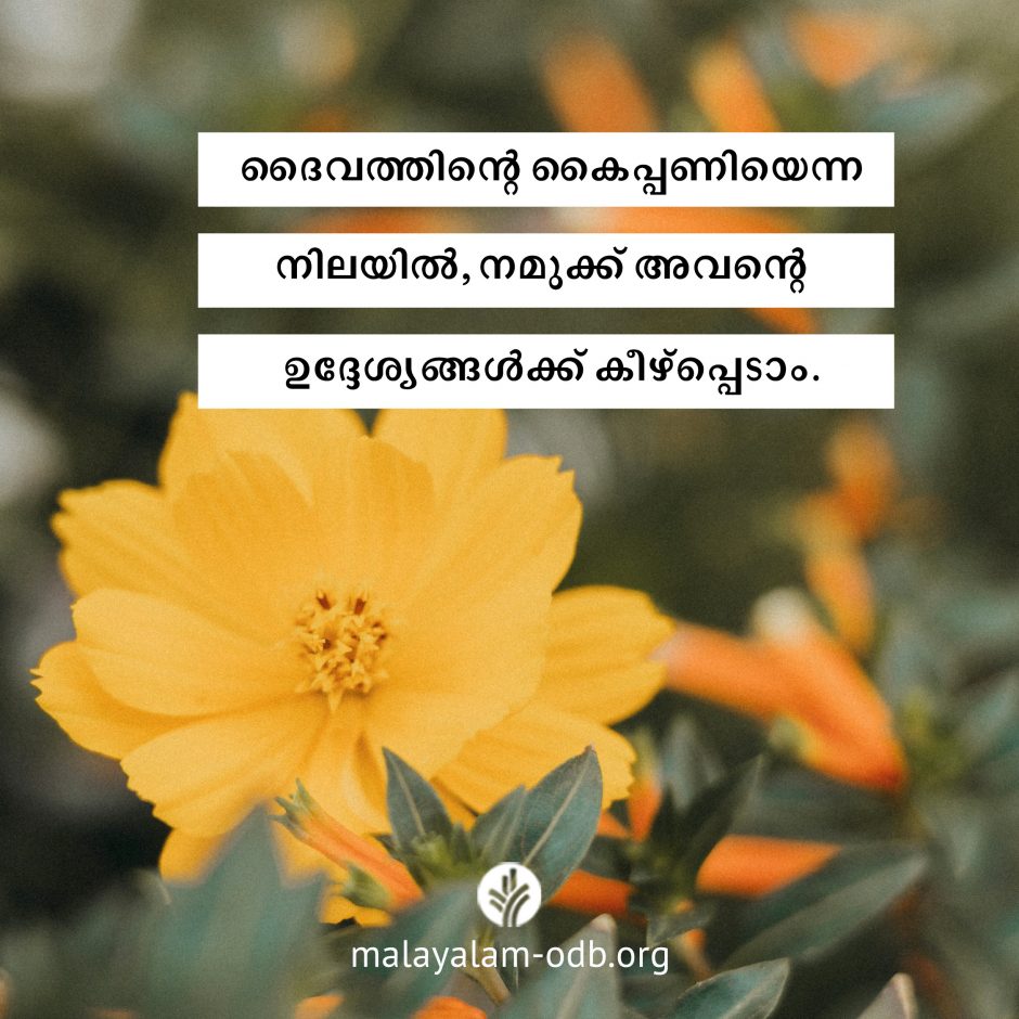 Share Malayalam ODB 2026-07-22 Share Malayalam ODB 2026-07-22