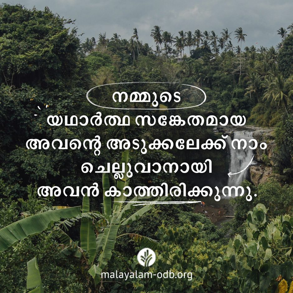 Share Malayalam ODB 2026-07-24