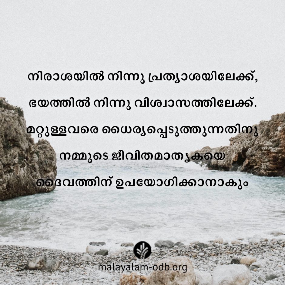 Share Malayalam ODB 2026-07-28 Share Malayalam ODB 2026-07-28