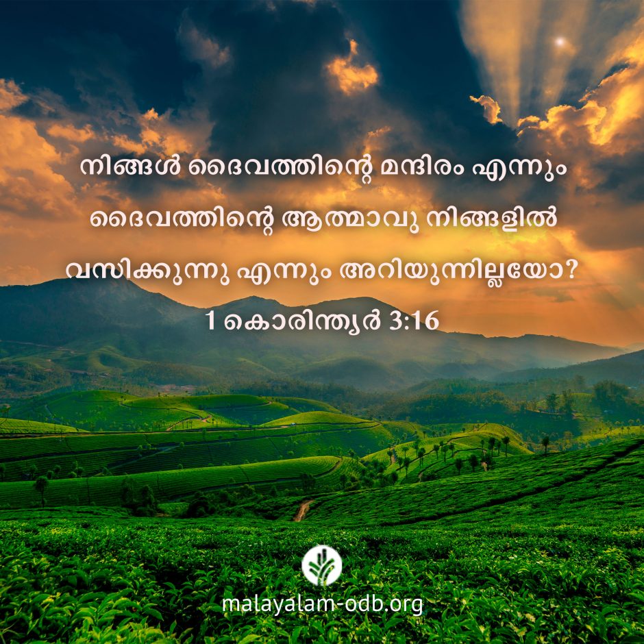 Share Malayalam ODB 2026-07-29 Share Malayalam ODB 2026-07-29