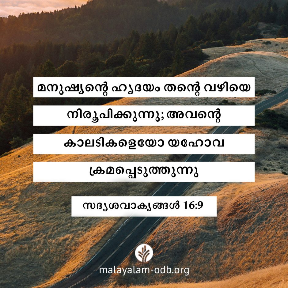 Share Malayalam ODB 2026-07-30 Share Malayalam ODB 2026-07-30