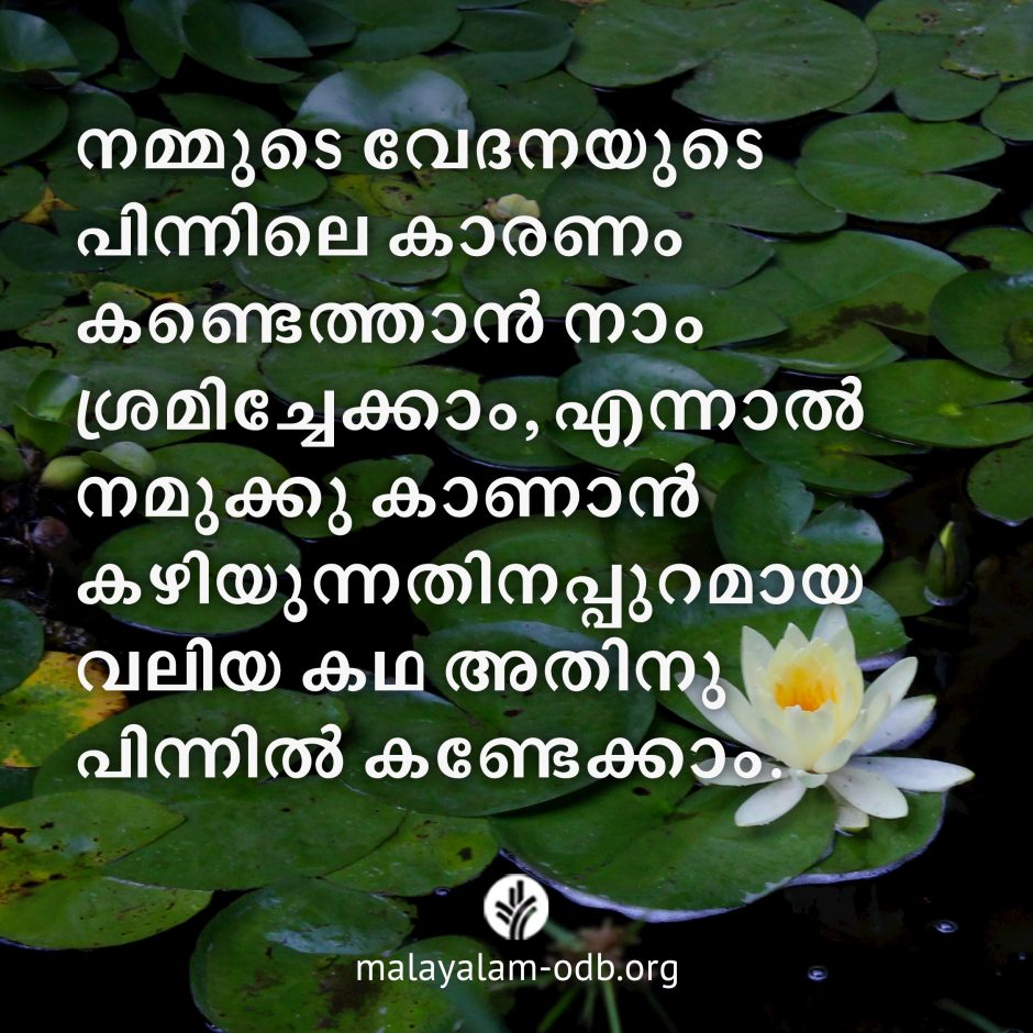 Share Malayalam ODB 2026-08-06