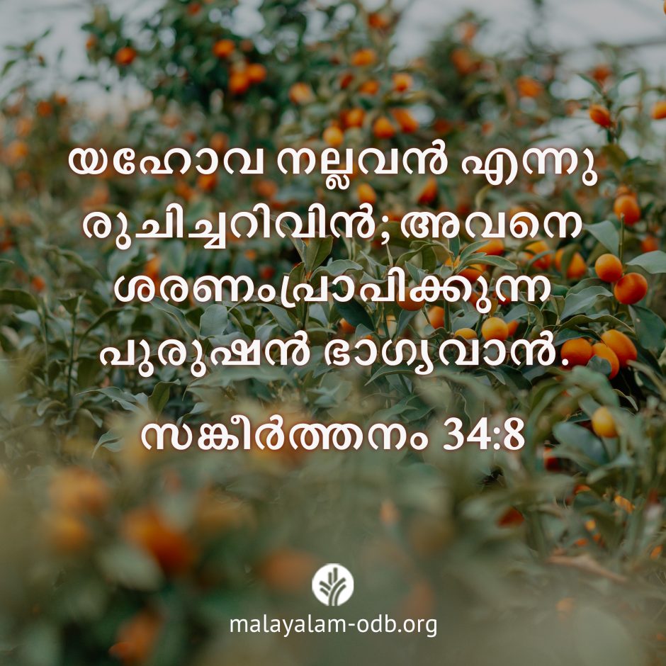 Share Malayalam ODB 2026-08-11 Share Malayalam ODB 2026-08-11