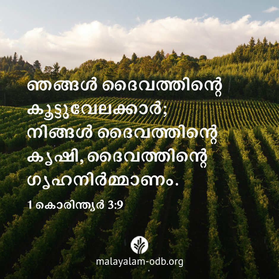 Share Malayalam ODB 2026-08-25 Share Malayalam ODB 2026-08-25