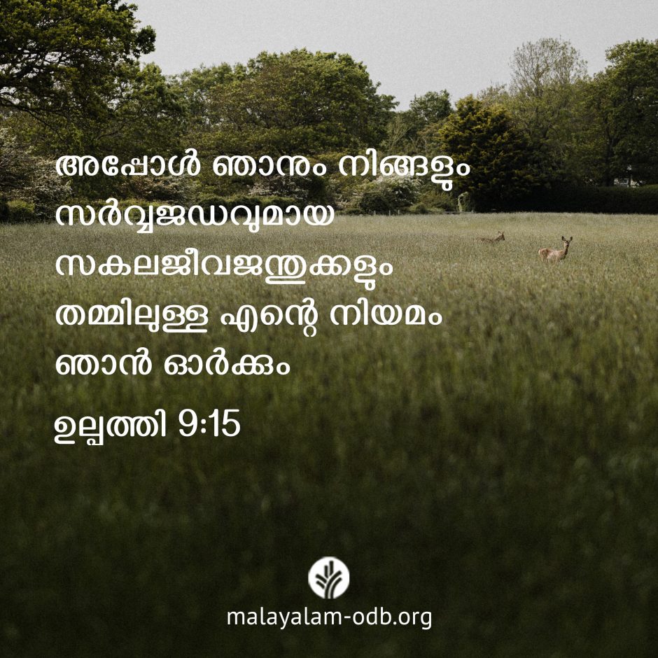 Share Malayalam ODB 2026-09-11 Share Malayalam ODB 2026-09-11