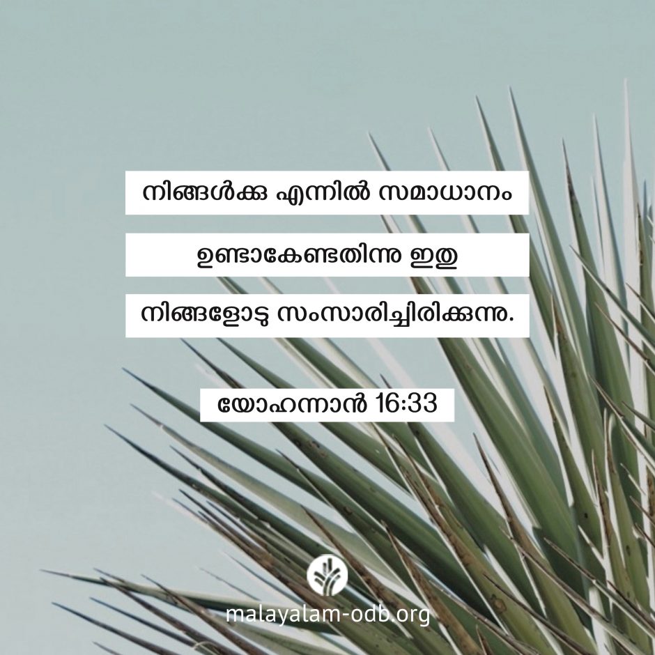 Share Malayalam ODB 2026-09-21 Share Malayalam ODB 2026-09-21