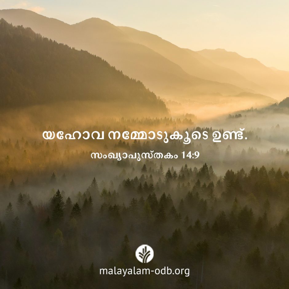 Share Malayalam ODB 2026-10-03 Share Malayalam ODB 2026-10-03